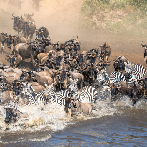 8-DAY TANZANIA WALKING ULTIMATE ADVENTURE